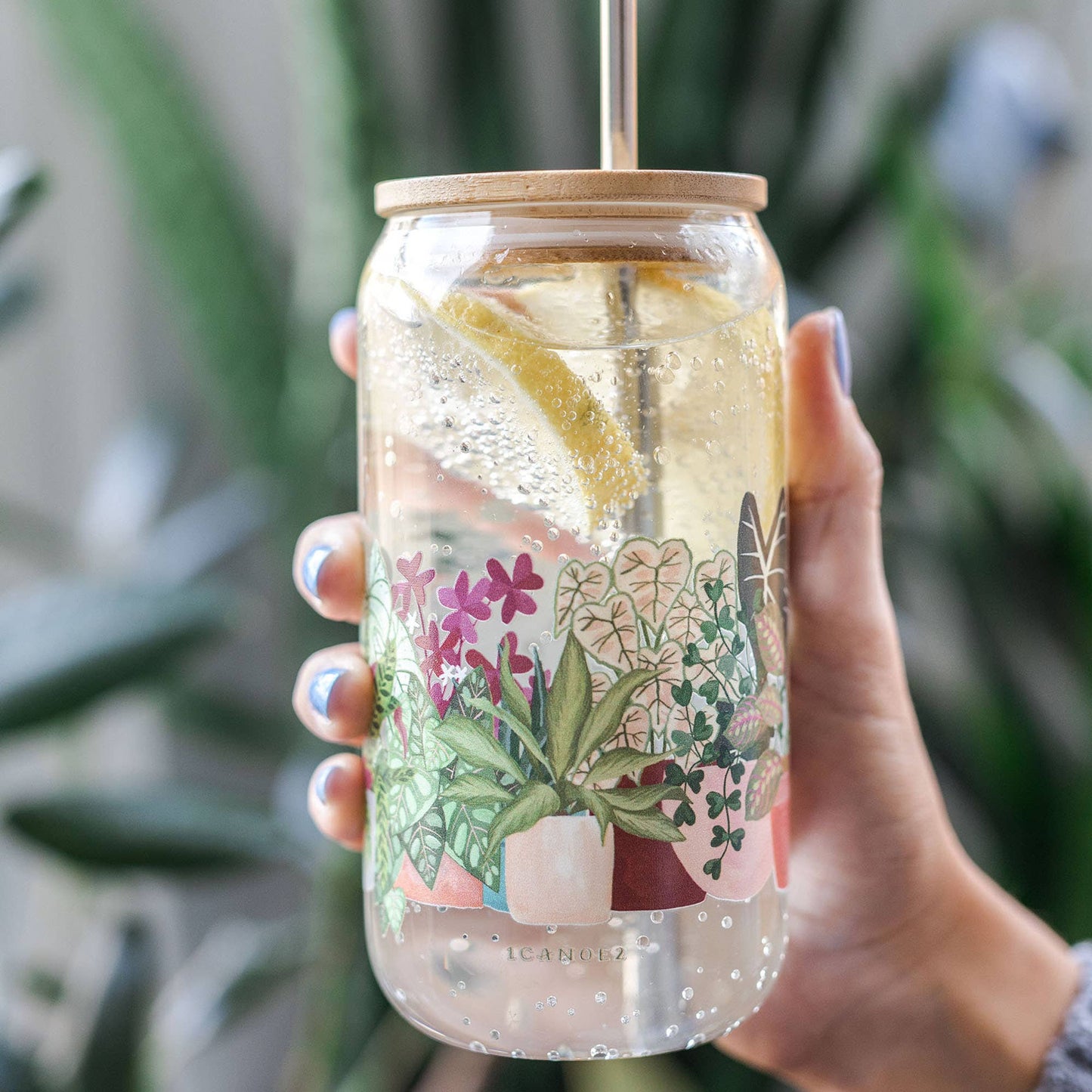 Houseplants Glass Can