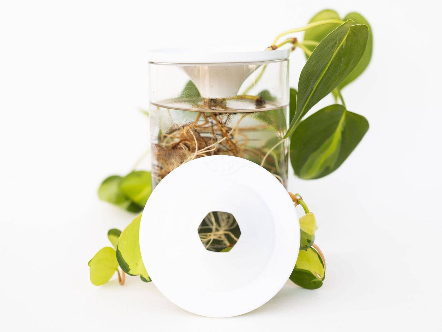 Propagation Cones - 3 pack