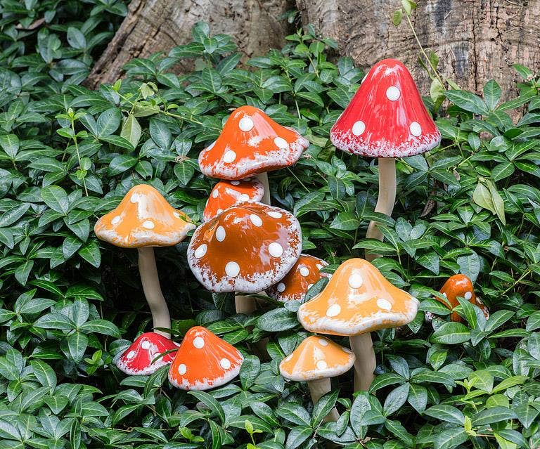 Medium Wobbly Dot Mushroom Stake-4 Assorted-9"H