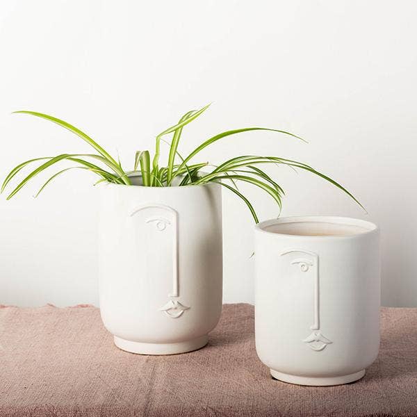 face pot