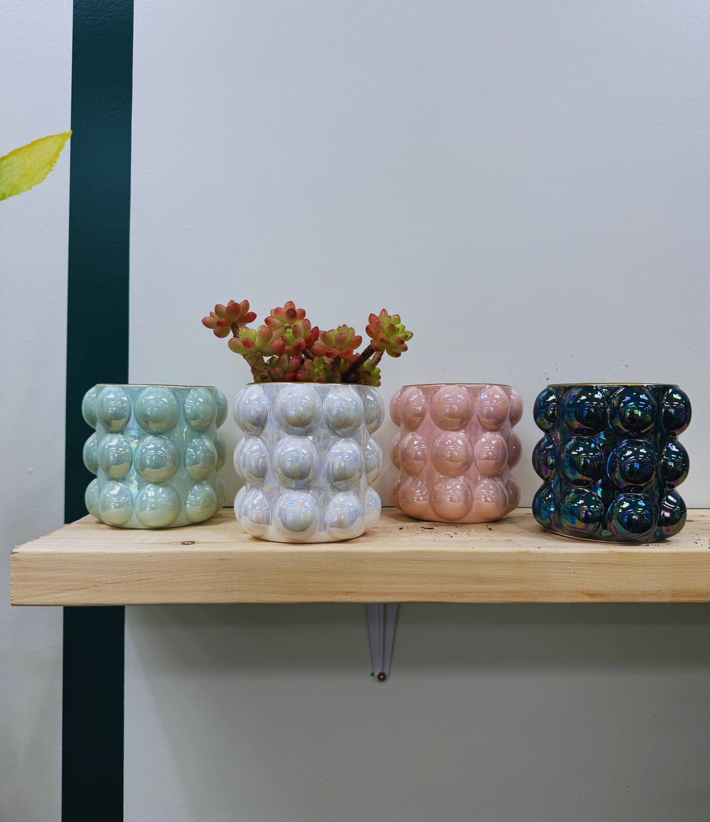 Glazed Bubble Planter