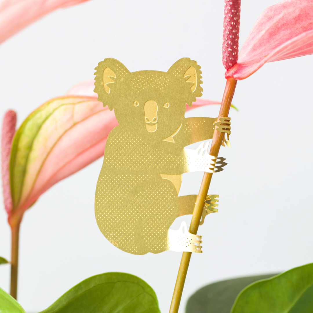Plant Animal - Koala Bear