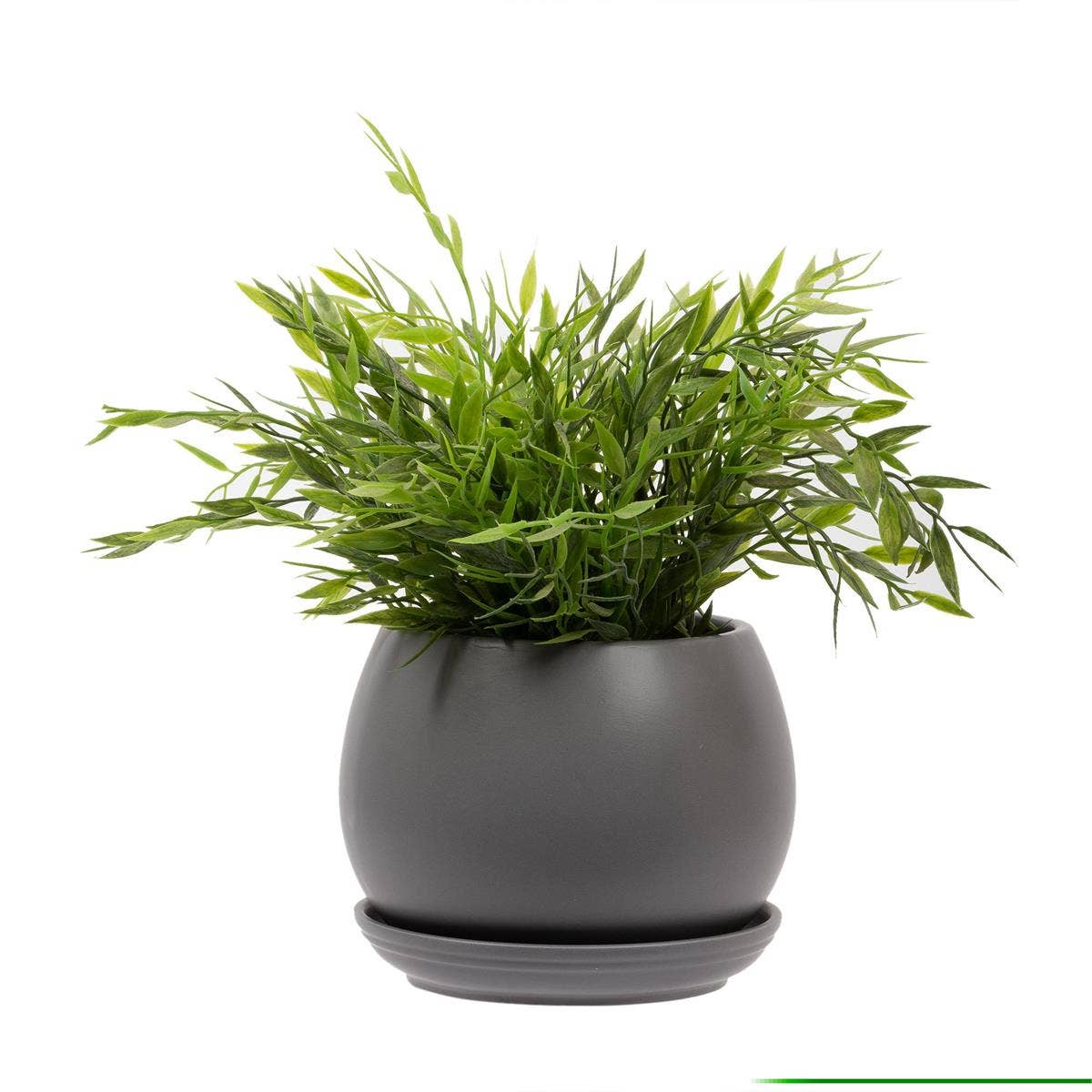 Matte Ceramic Planter