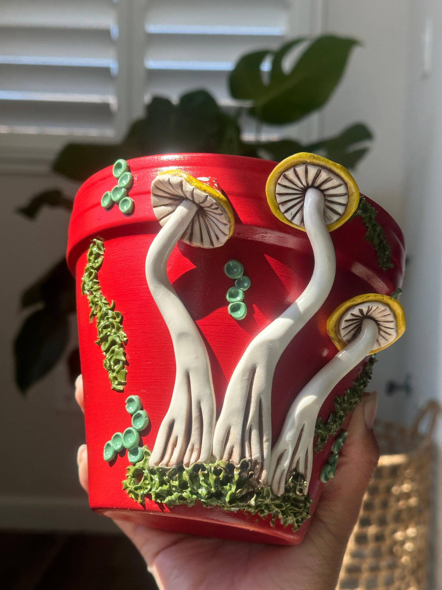 Mushroom Plant Pots