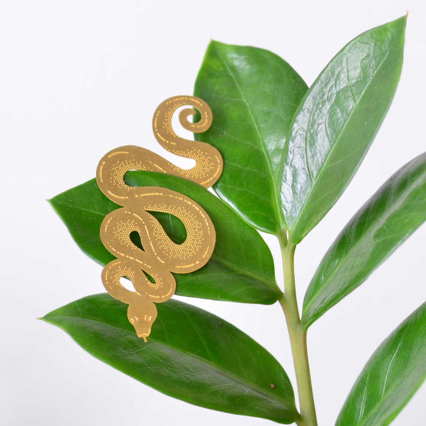 Plant Animal - Snake