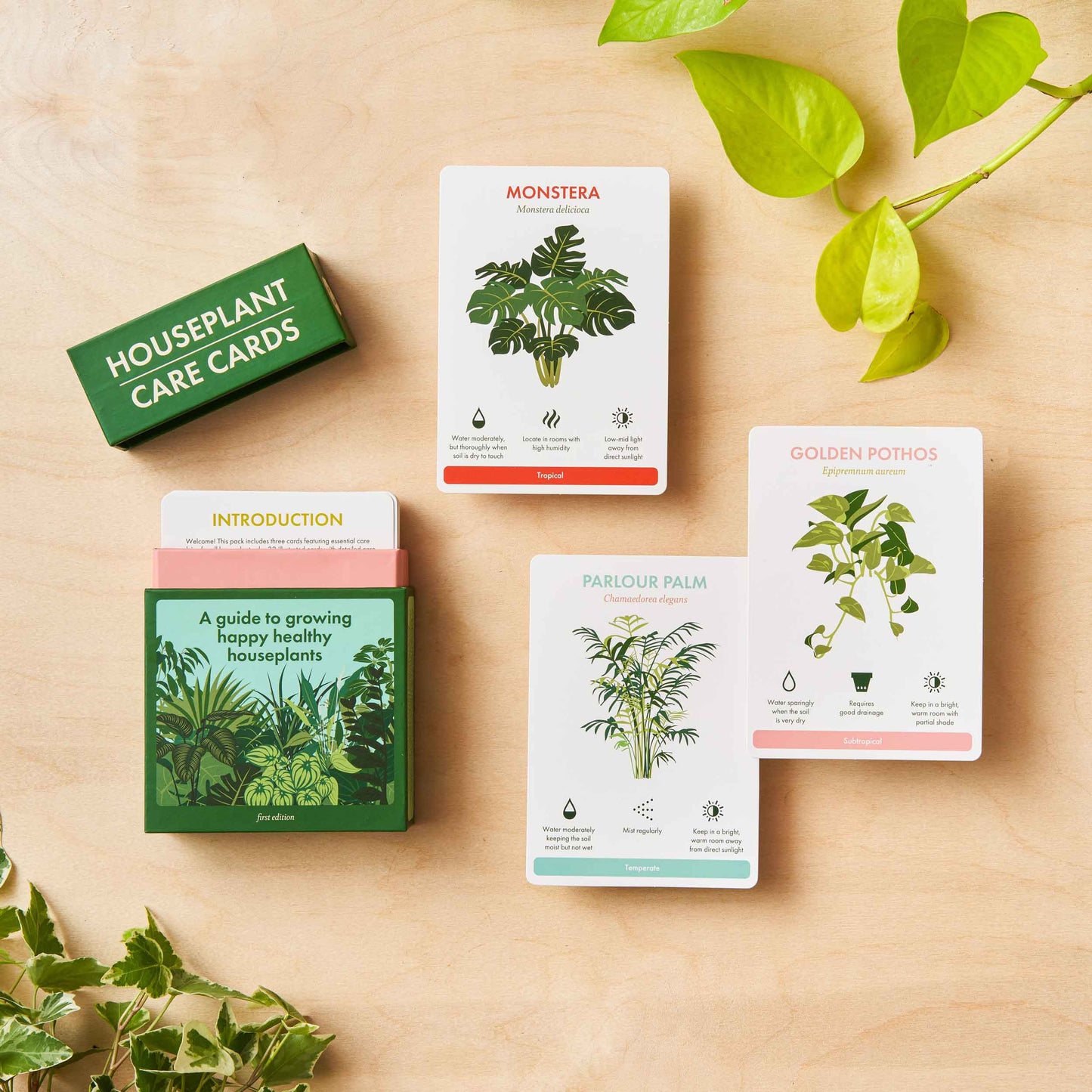 Houseplant Care Cards, botanical tips & advice