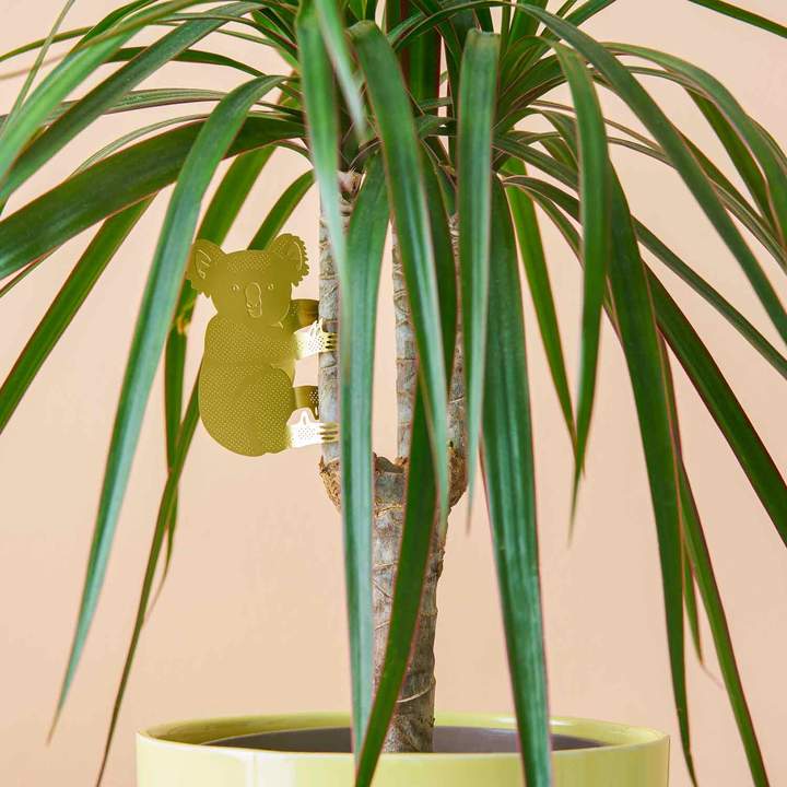 Plant Animal - Koala Bear