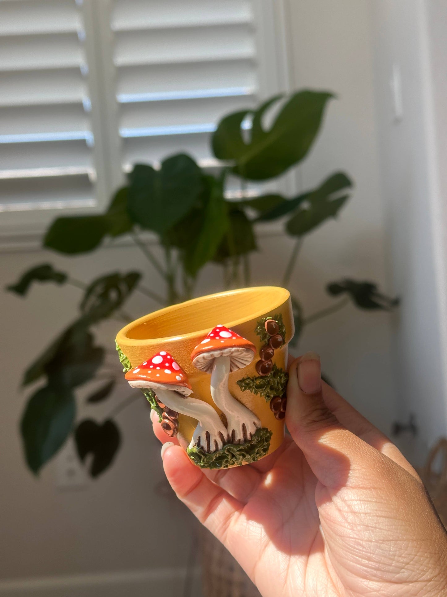Mushroom Plant Pots