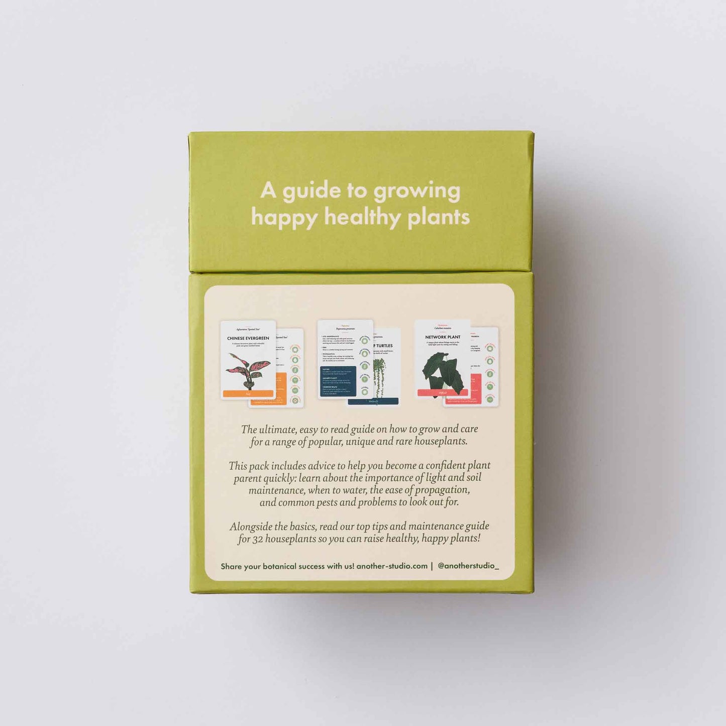 Houseplant Care Cards, Edition 2