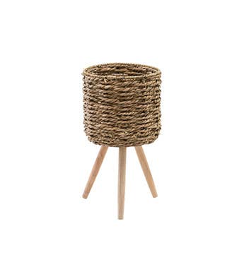 seagrass plant stand
