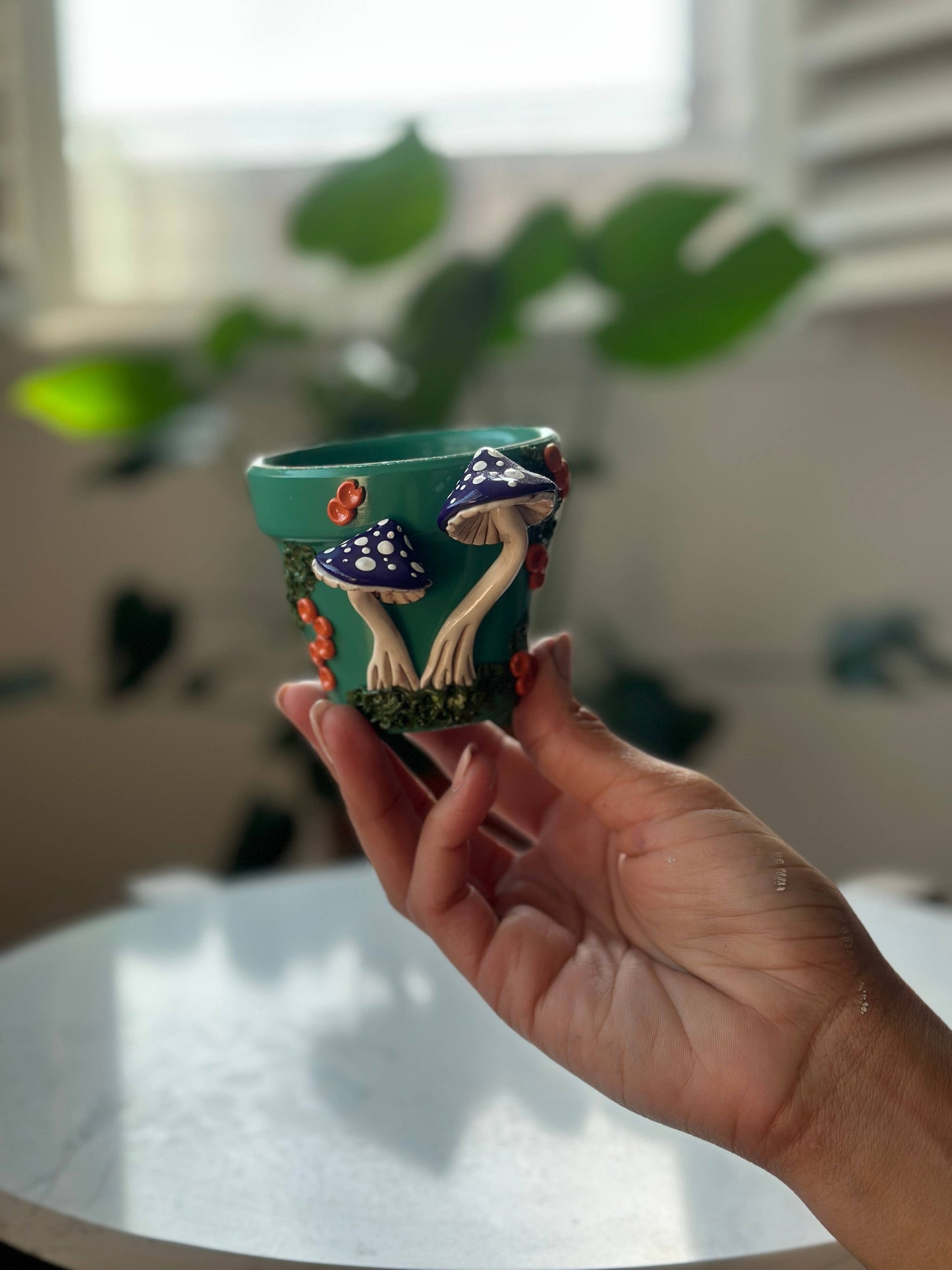 Mushroom Plant Pots
