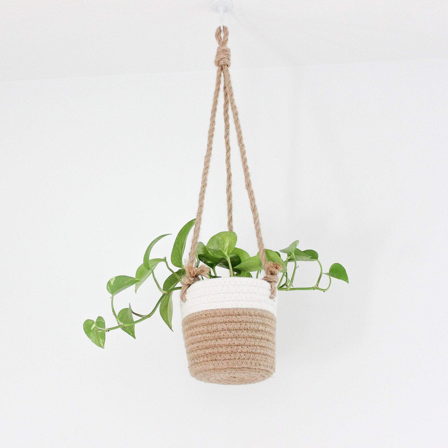 Beige and White Cotton Rope Hanging Planter Basket
