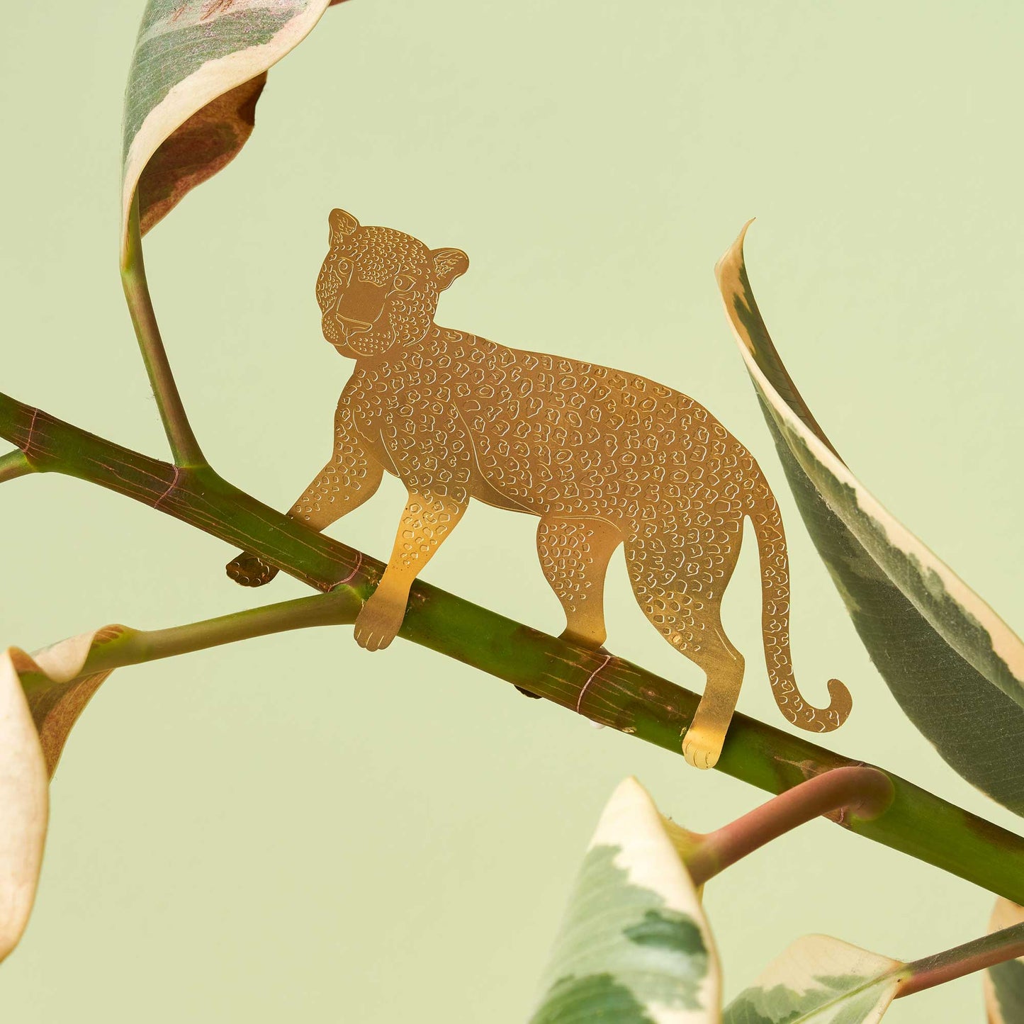 Plant Animal Leopard - brass cat decoration