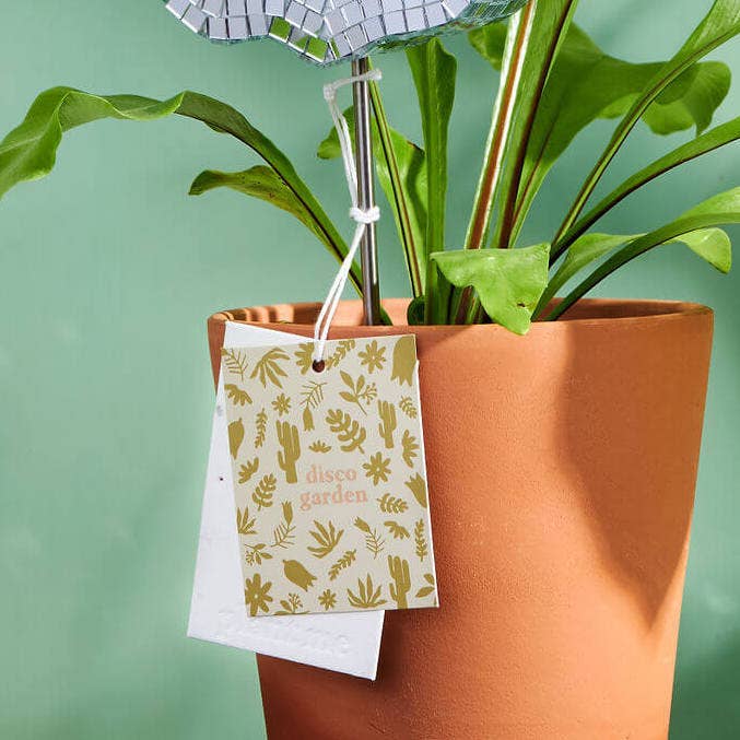 Disco Cactus Plant Stake