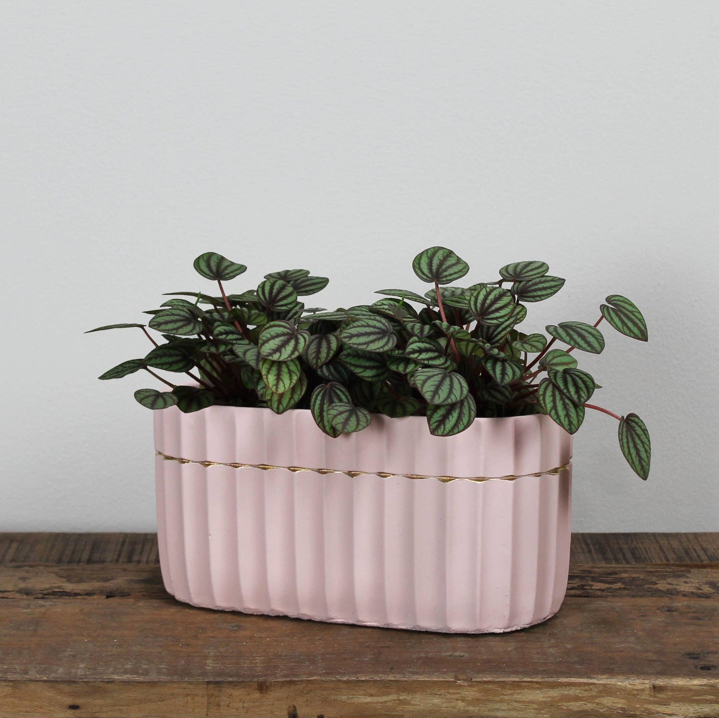 Skylar Pink Oval Pot