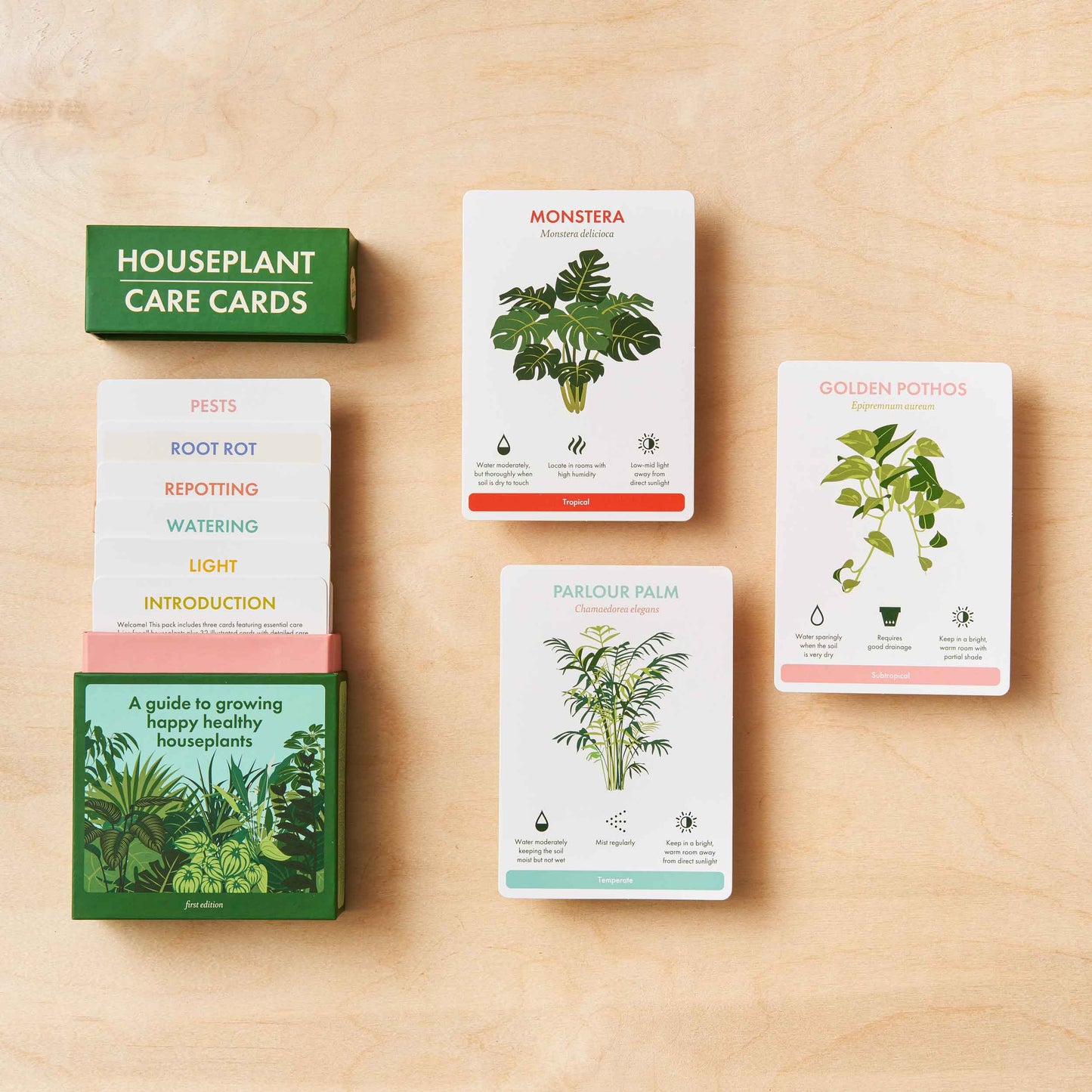 Houseplant Care Cards, botanical tips & advice