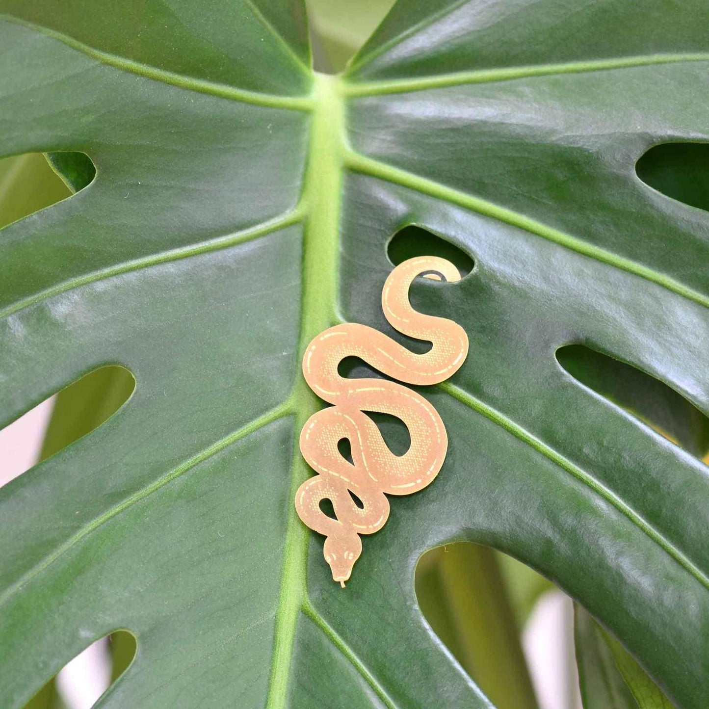 Plant Animal - Snake