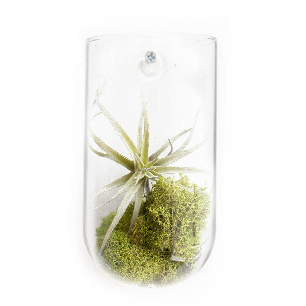 wall planter/ase