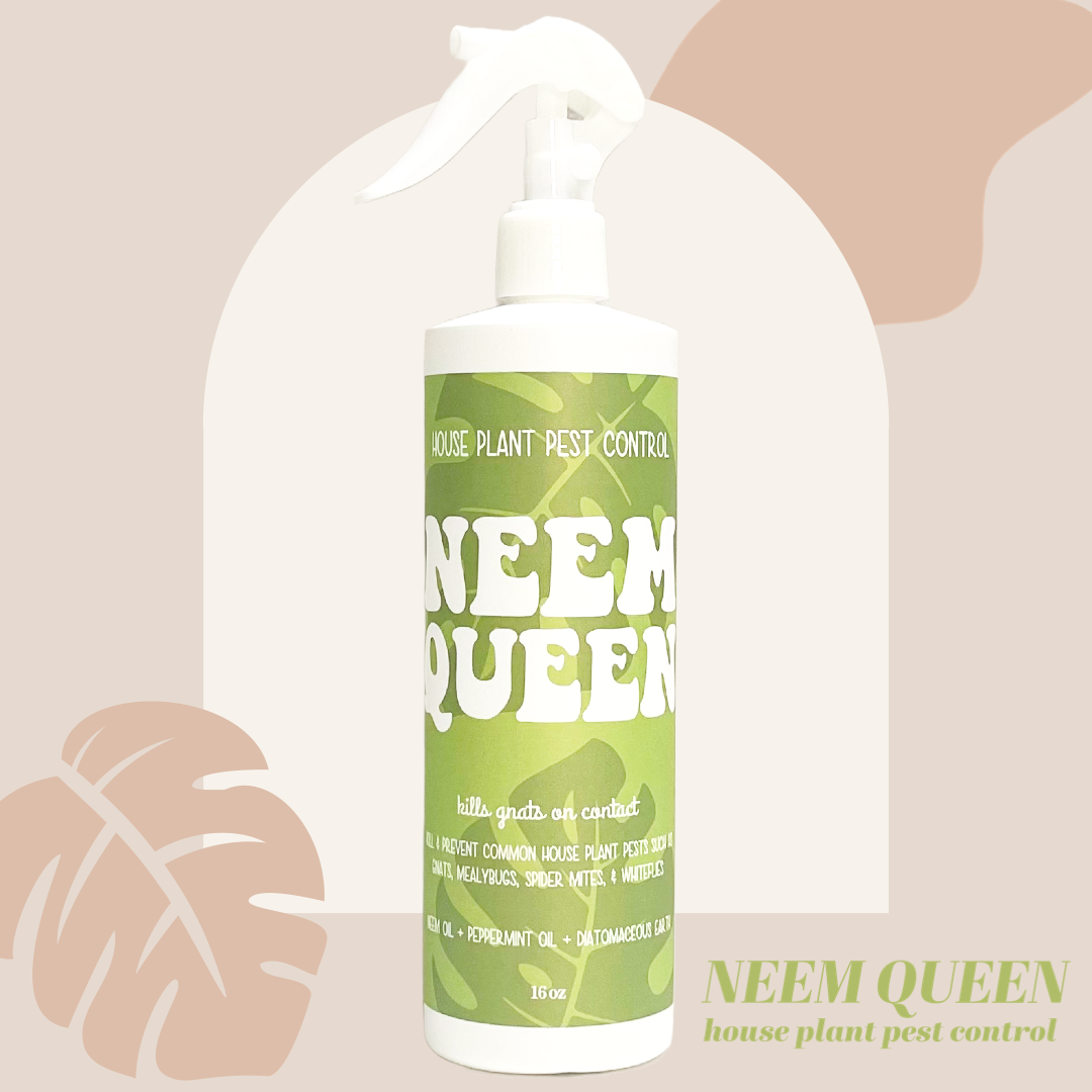Neem Queen - House Plant Pest Control