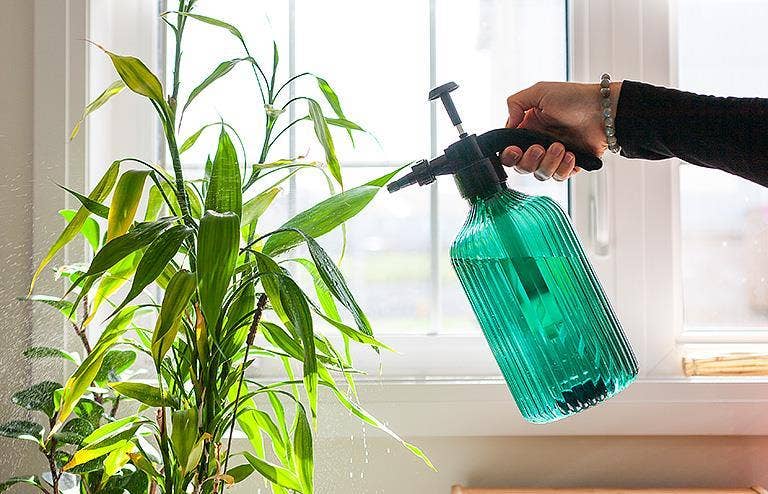 Teal Pump Sprayer