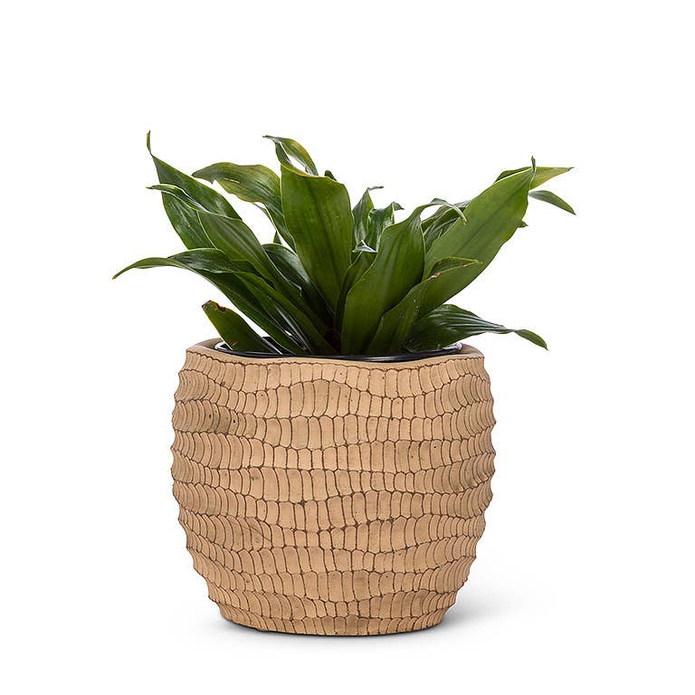 Sm Ridged Round Planter-4"H