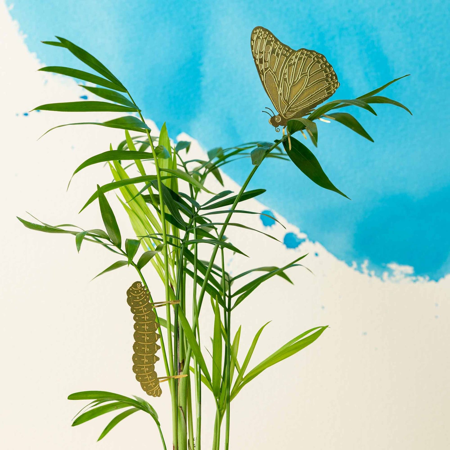 Plant Animal - Butterfly