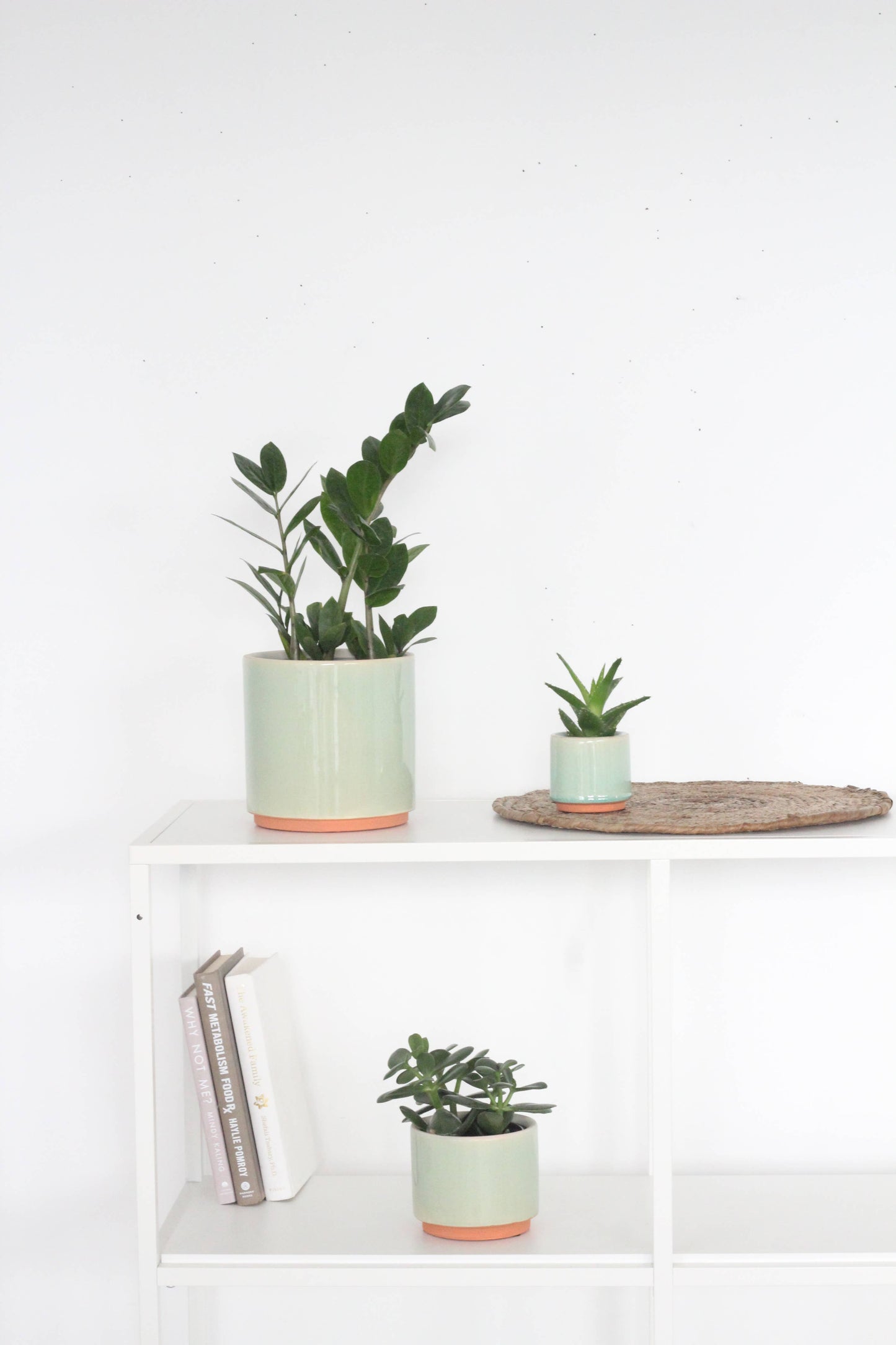 Large Sage Green and Terracotta Ceramic Round Planter Pot