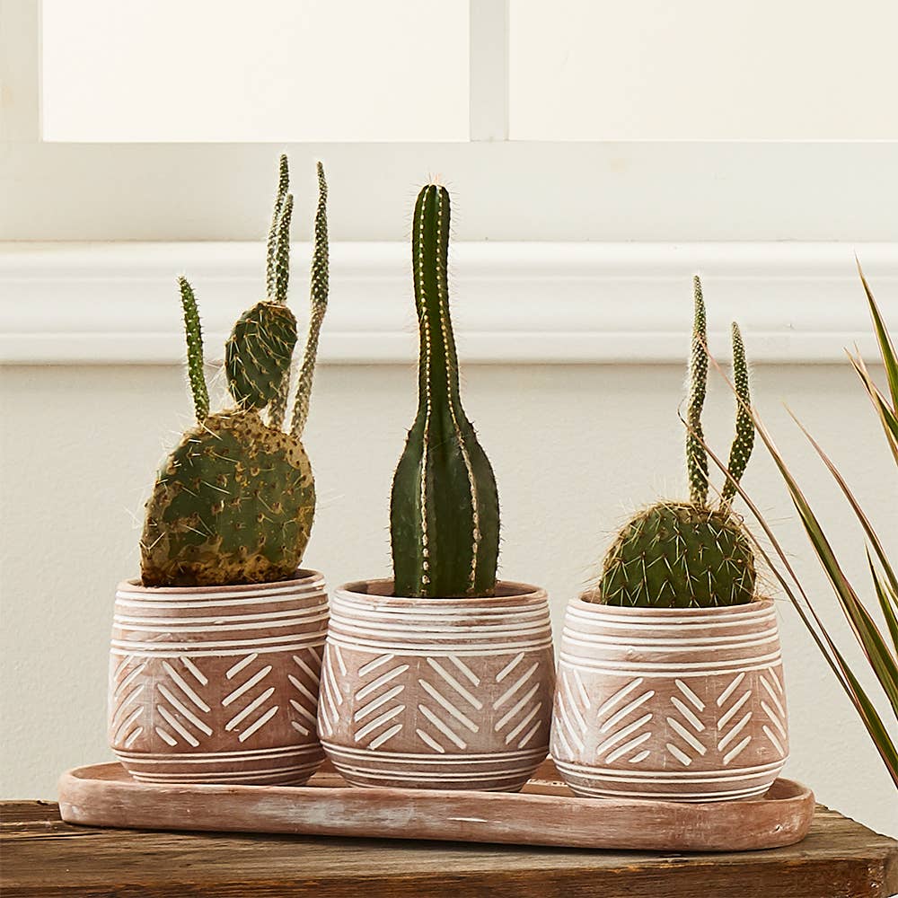 Novo Clay Planter - Set of 3