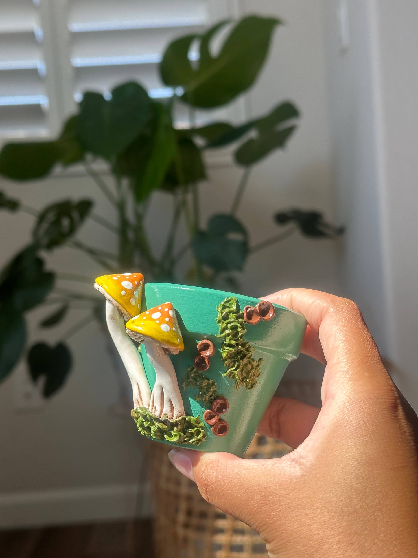 Mushroom Plant Pots