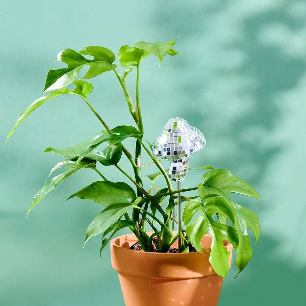 Disco Mushroom Decorative Plant Stake