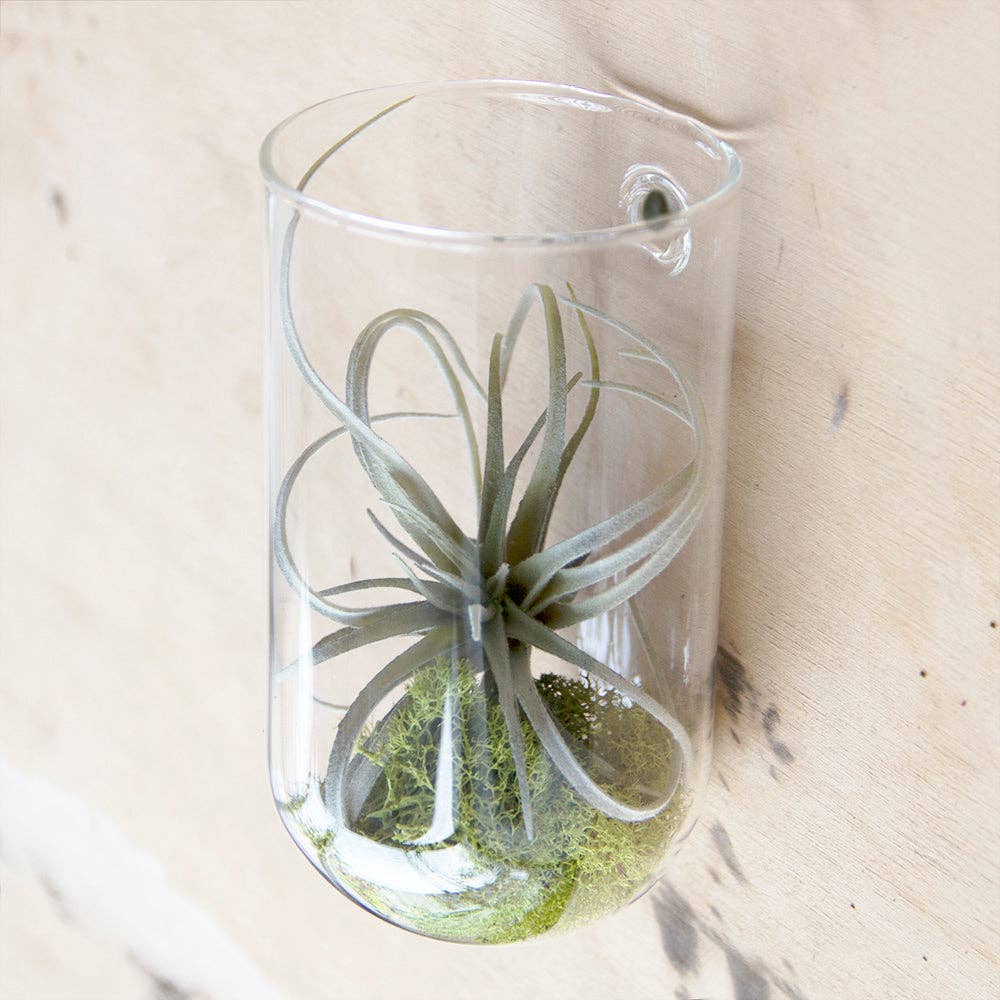 wall planter/ase