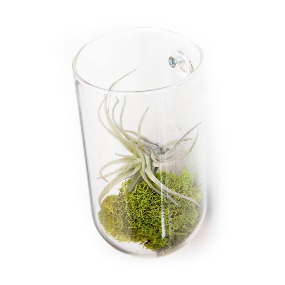 wall planter/ase