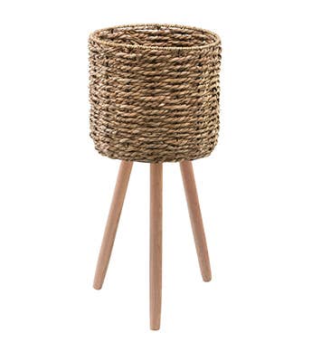 seagrass plant stand