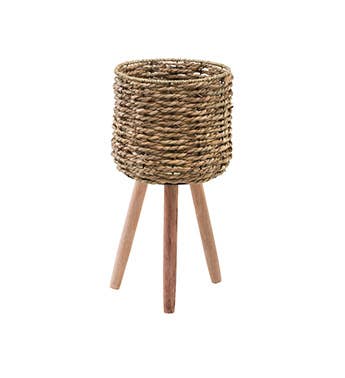 seagrass plant stand