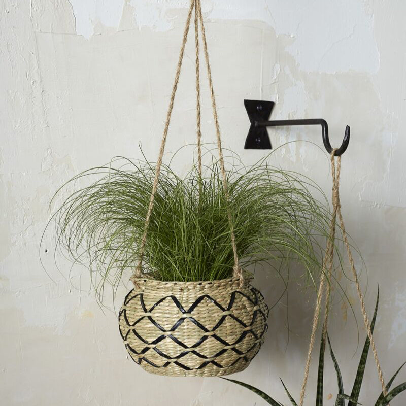 Tia Hanging Pot