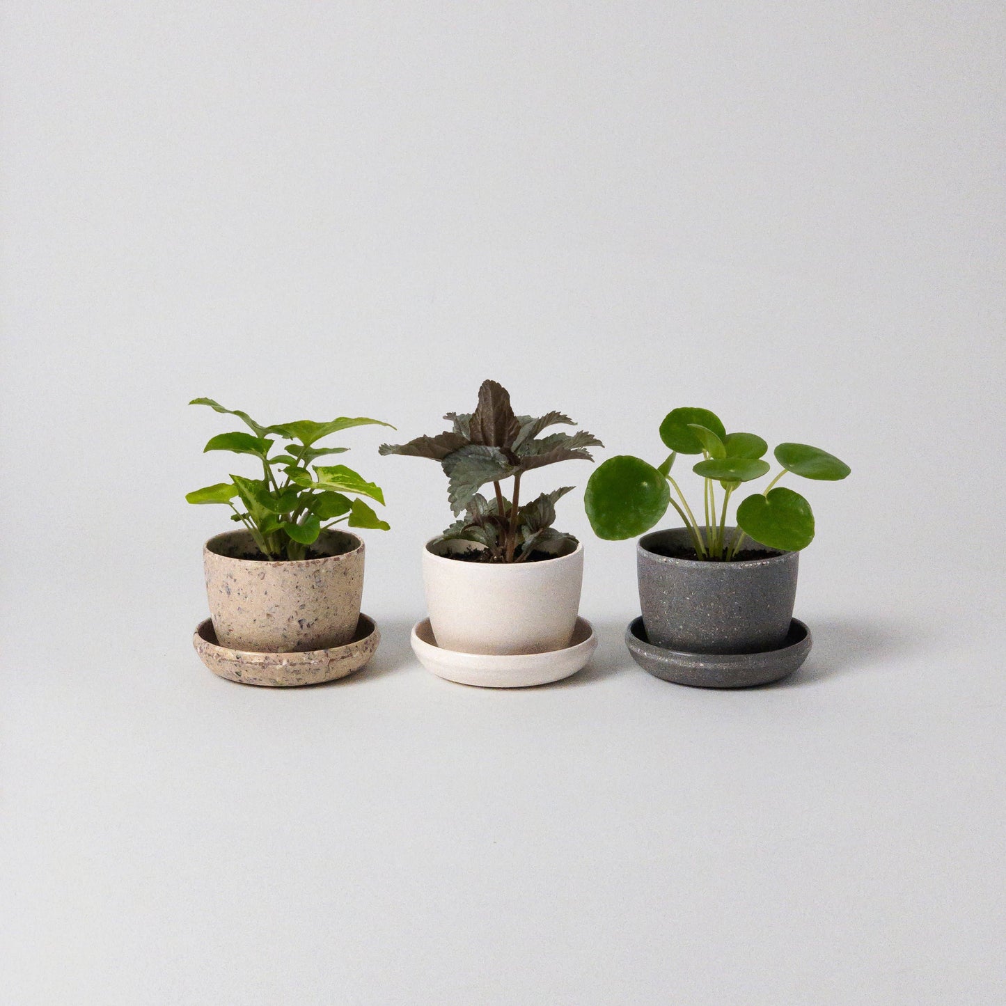 mini pot