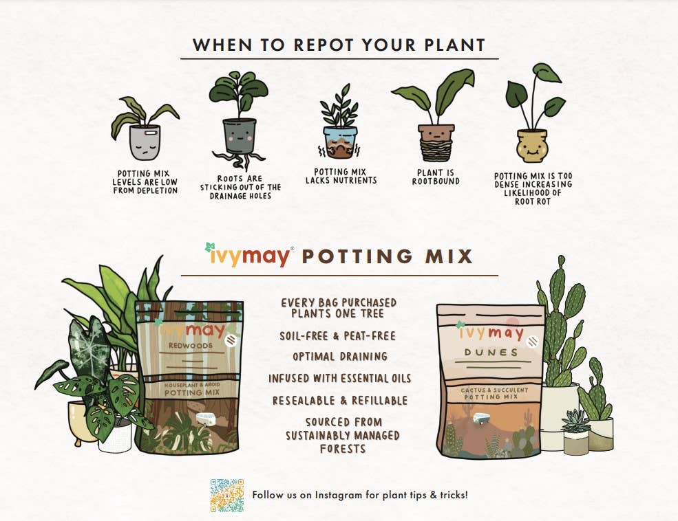 Premium Houseplant & Aroid Potting Mix (8 QT)