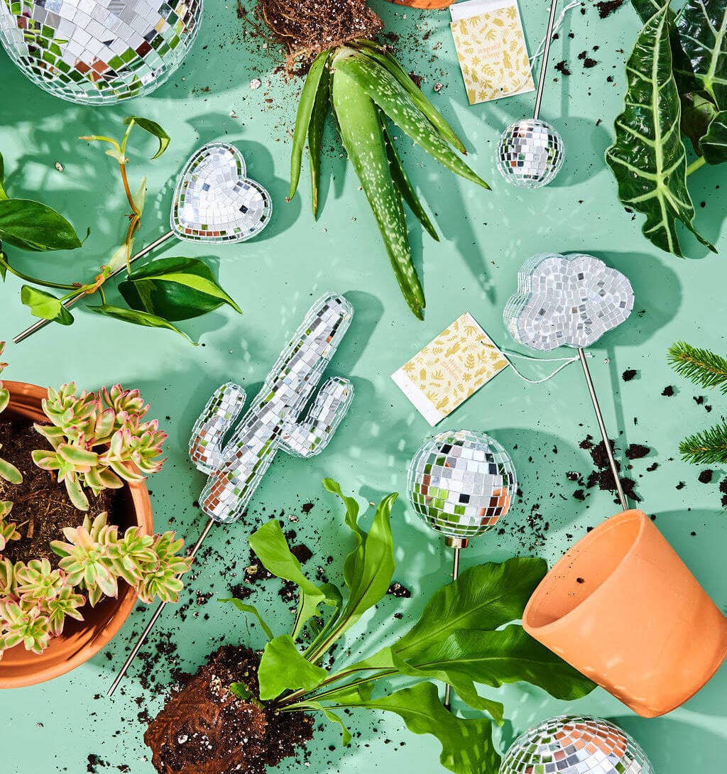 Disco Cactus Plant Stake