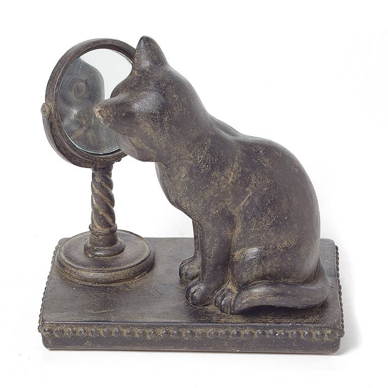 Cat Mirror Fig
