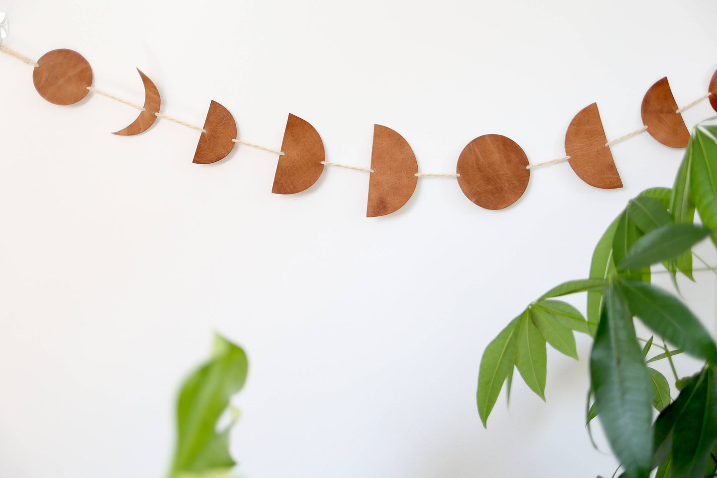 Luna Moon Phase Garland md.