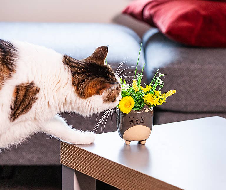 Cat Planter