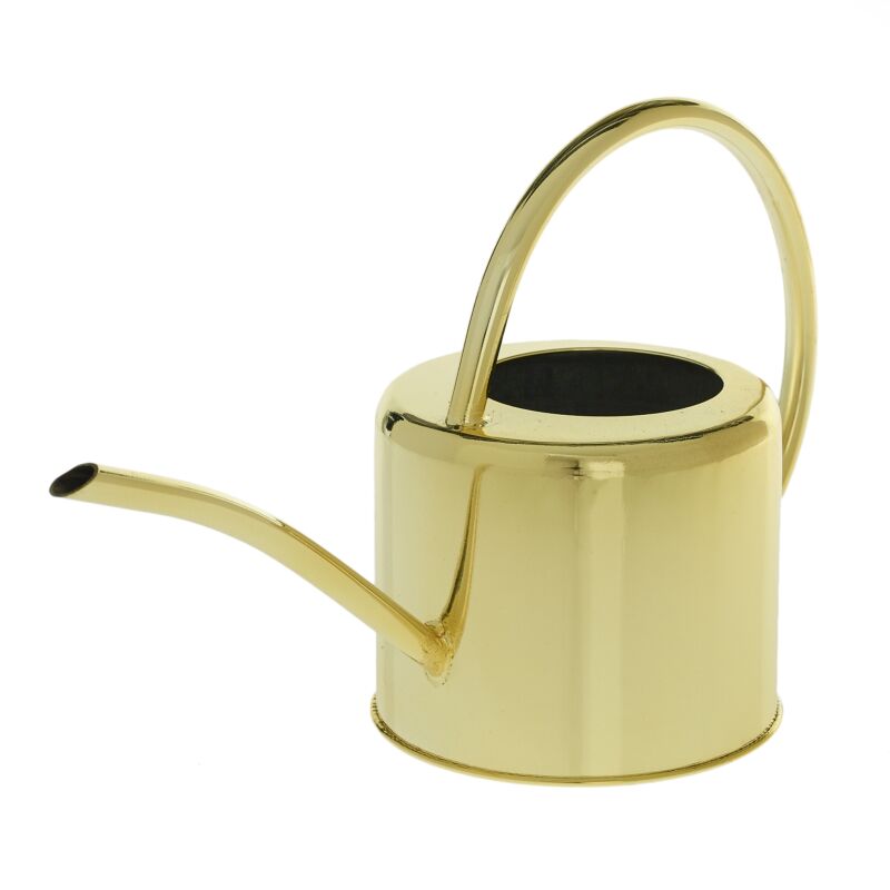 Gold Watering Can