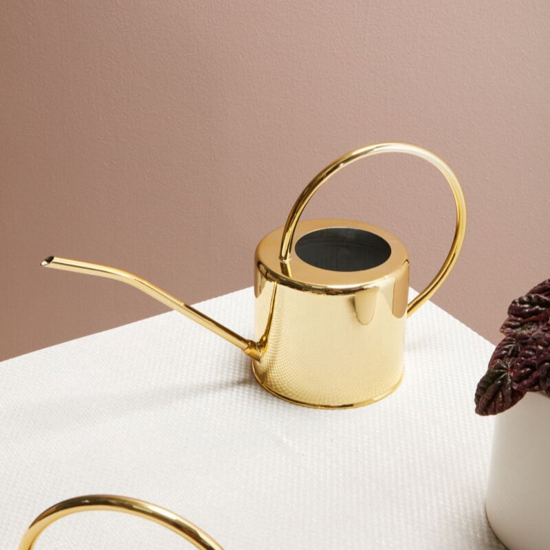 Gold Watering Can