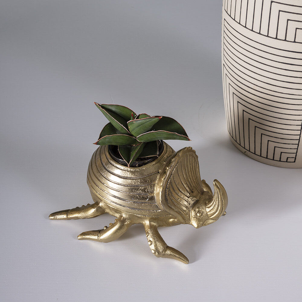 Golden Scarab Pot