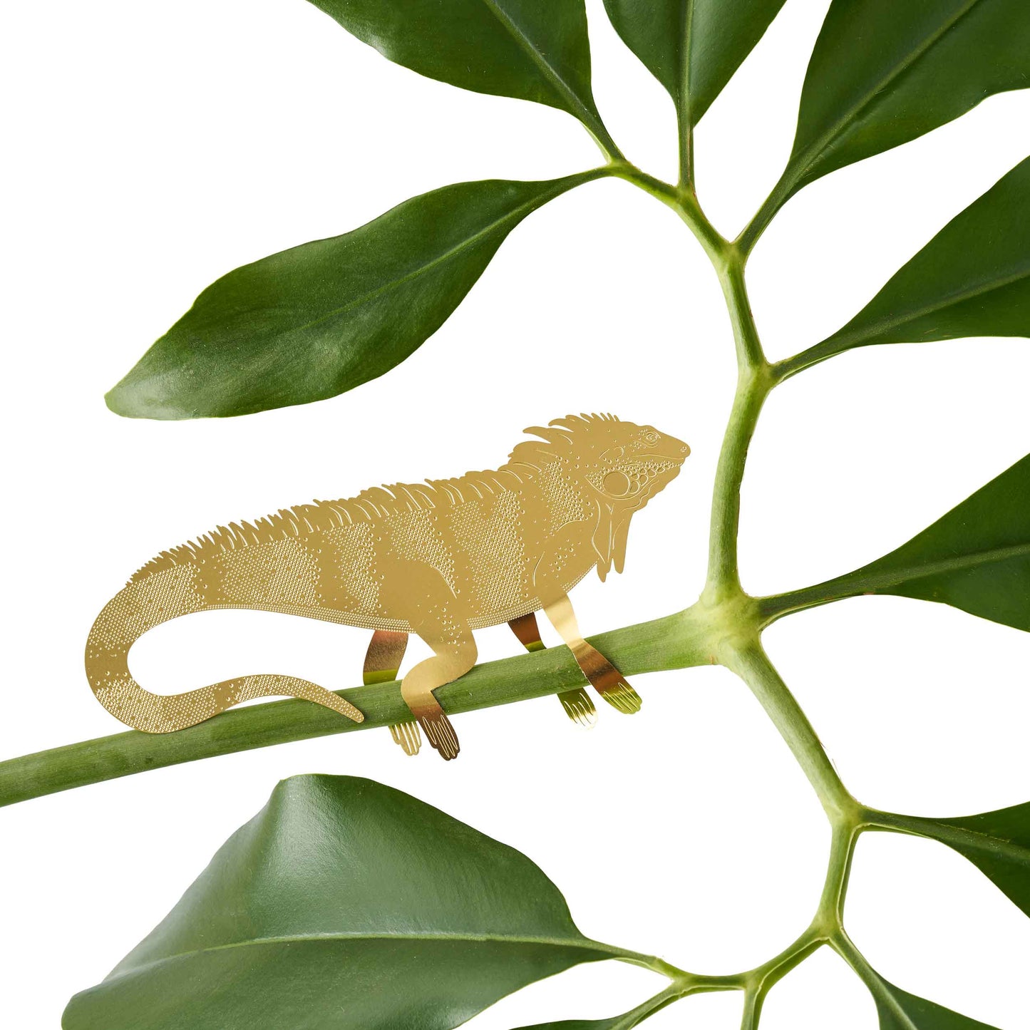 Plant Animal Iguana - brass plant decor