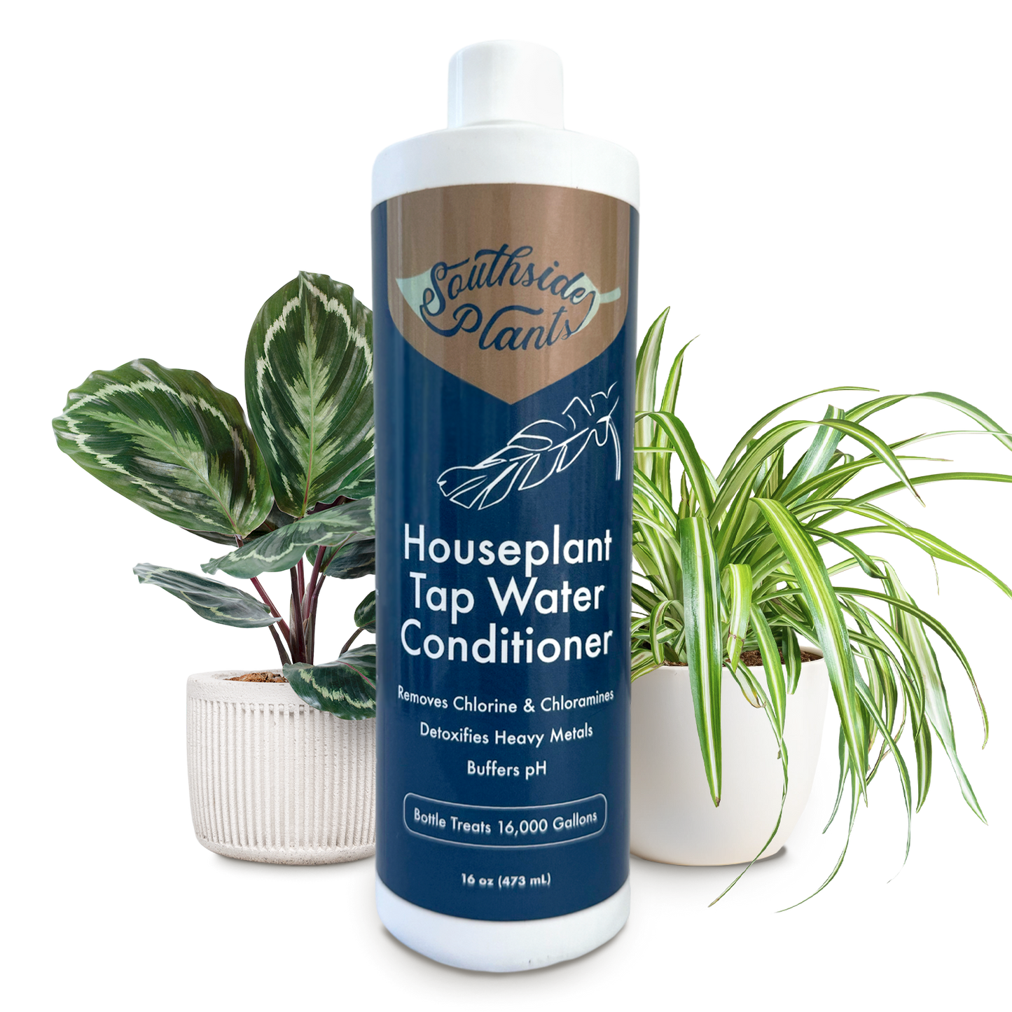Houseplant Tap Water Conditioner
