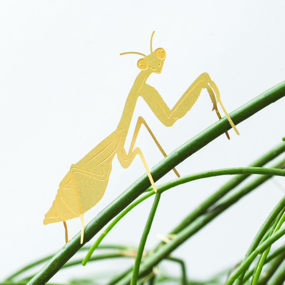 Plant Animal - Praying Mantis