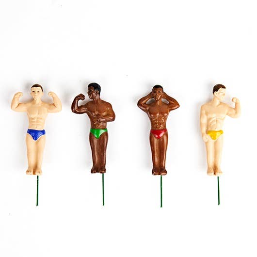 Mini Hunk Plant Markers