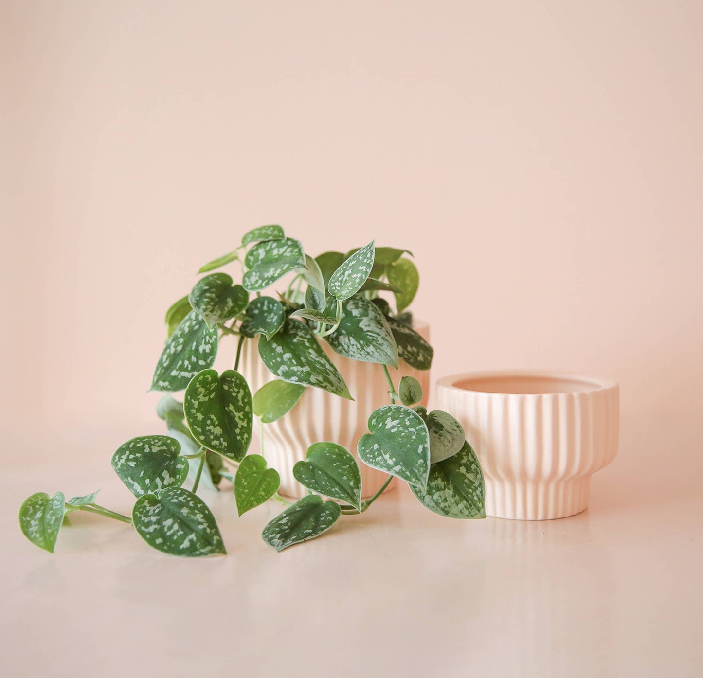 Ballerina pedestal pot