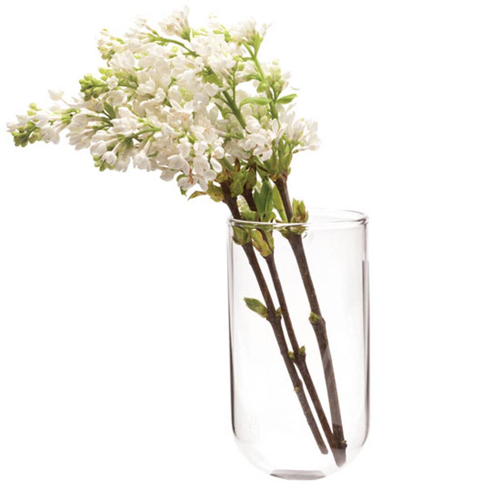 wall planter/ase